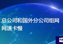 总公司和国外分公司组网网速卡慢???解决方案//世耕通信全球办公专网