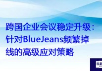 跨国企业会议稳定升级：针对BlueJeans频繁掉线的高级应对策略？？？解决方案//世耕通信BlueJeans视频会议专网