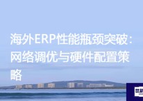 海外ERP性能瓶颈突破：网络调优与硬件配置策略​？？？解决方案//世耕通信全球办公专网