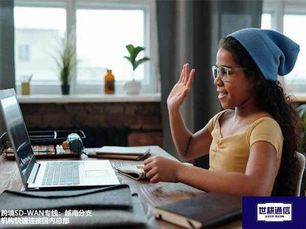 跨境SD-WAN专线：越南分支机构快速连接国内总部？？？解决方案//世耕通信全球办公专网