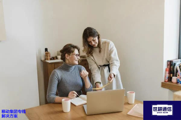 移动集团专线？？？解决方案//世耕通信全球办公专网