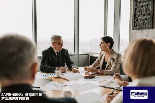 SAP操作延迟：数据库性能对系统速度的影响？？？解决方案//世耕通信全球办公专网