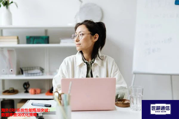 海外ERP系统性能瓶颈突破：数据库查询优化策略？？？解决方案//世耕通信全球办公专网