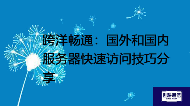 跨洋畅通：国外和国内服务器快速访问技巧分享？？？解决方案//世耕通信全球办公专网