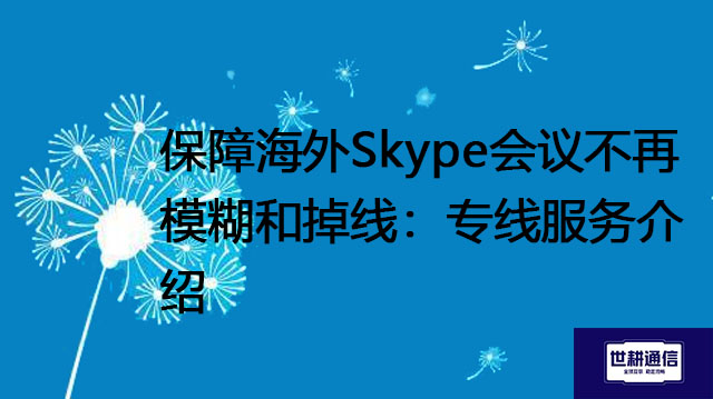 保障海外Skype会议不再模糊和掉线：专线服务介绍？？？解决方案//世耕通信skype视频会议专网