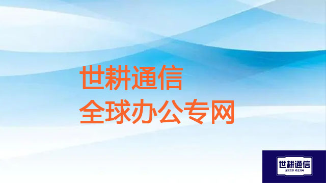 印尼-国内集团总部ERP网络很慢，技术服务？？？解决方案//世耕通信全球办公专网