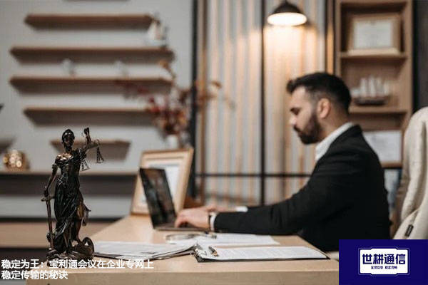 稳定为王：宝利通会议在企业专网上稳定传输的秘诀？？？解决方案//世耕通信宝利通视频会议专网