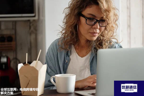 全球互联网：电信跨境专线？？？解决方案//世耕通信全球办公专网