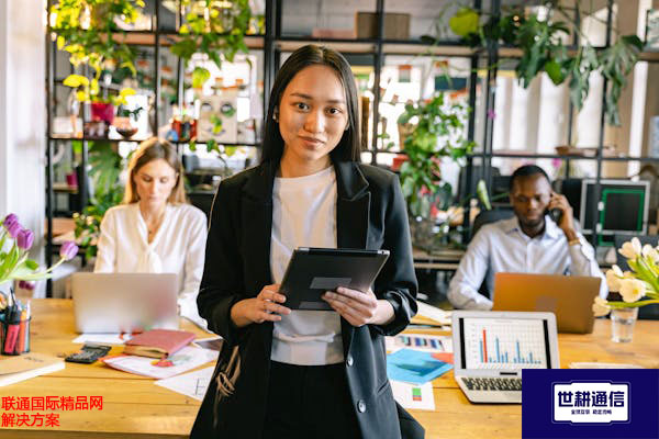 联通国际精品网？？？解决方案//世耕通信全球办公专网