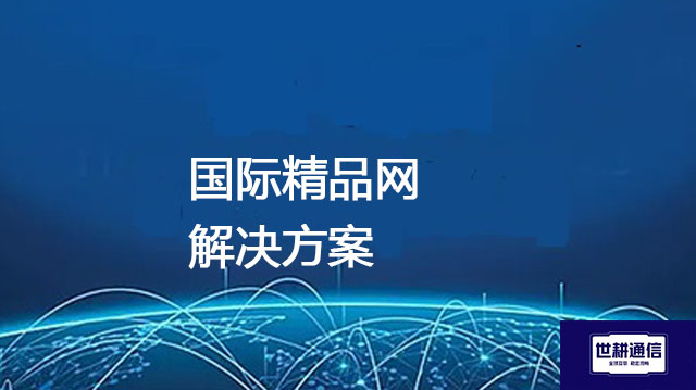 国际精品网？？？解决方案//世耕通信全球办公专网