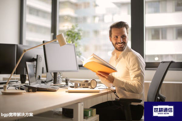 bgp宽带解决方案？？？解决方案//世耕通信全球办公专网