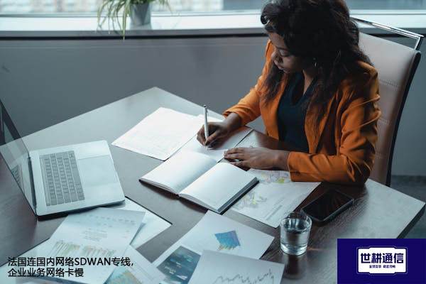 法国连国内网络SDWAN专线，企业业务网络卡慢	？？？解决方案//世耕通信全球办公专网 