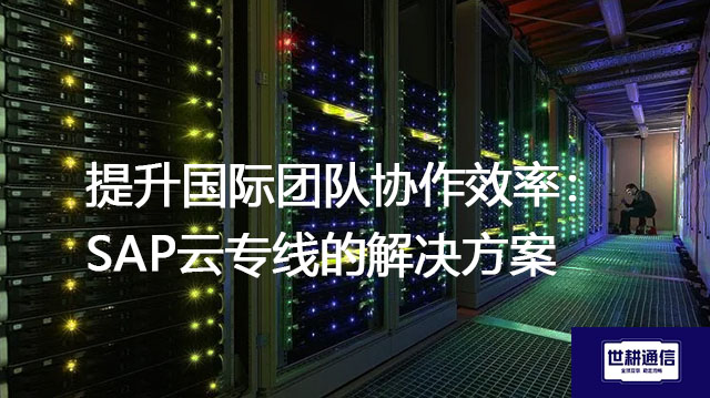 提升国际团队协作效率：SAP云专线？？？解决方案//世耕通信全球办公专网  