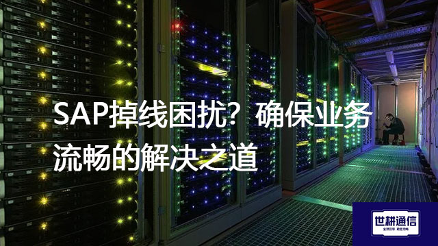 SAP掉线困扰？确保业务流畅的解决之道？？？解决方案//世耕通信全球办公专网