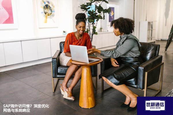 SAP海外访问慢？深度优化网络与系统响应？？？解决方案//世耕通信全球办公专网