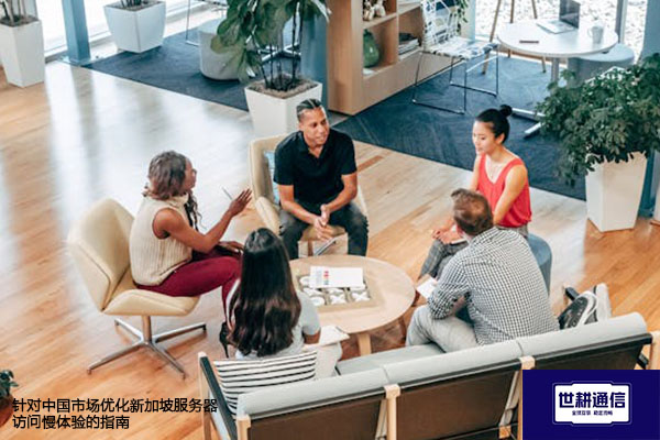 针对中国市场优化新加坡服务器访问慢体验的指南？？？解决方案//世耕通信全球办公专网