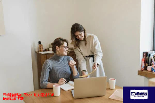 云端智能路由优化：助力国外ERP访问速度飞跃？？？解决方案//世耕通信全球办公专网