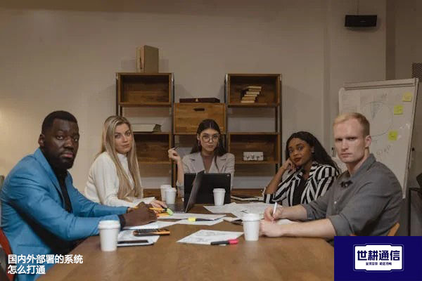 国内外部署的系统怎么打通？？？解决方案//世耕通信全球办公专网