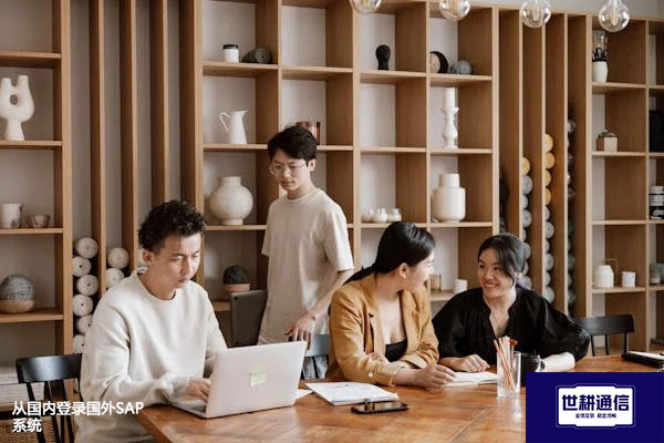 从国内登录国外SAP系统？？？解决方案//世耕通信全球办公专网