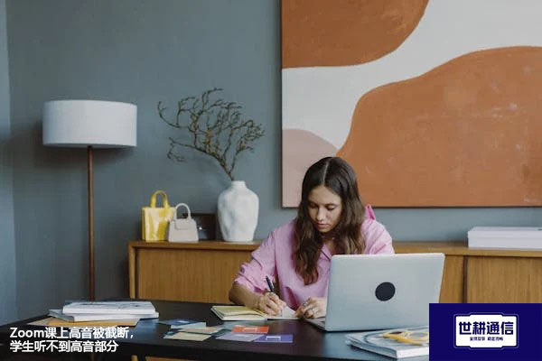 Zoom课上高音被截断,学生听不到高音部分???解决方案//世耕通信全球办公专网