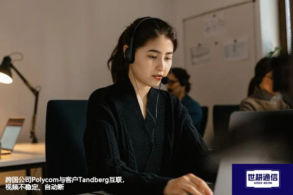 跨国公司Polycom与客户Tandberg互联,视频不稳定、自动断开???解决方案//世耕通信全球办公专网
