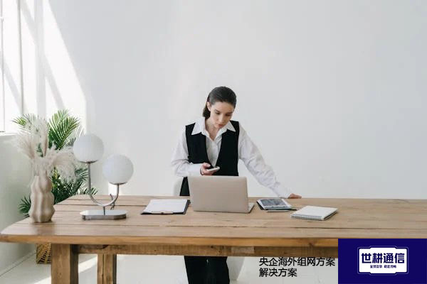 央企海外组网方案???解决方案//世耕通信全球办公专网 央企海外组网方案???解决方案//世耕通信全球办公专网