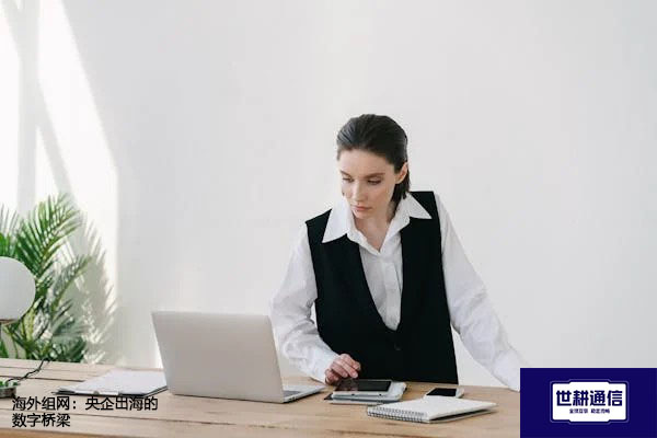 海外组网:央企出海的数字桥梁???解决方案//世耕通信全球办公专网  海外组网:央企出海的数字桥梁???解决方案//世耕通信全球办公专网