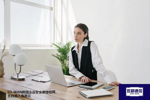 SD-WAN跨国企业安全便捷组网,支持接入各类云???解决方案//世耕通信全球办公专网 SD-WAN跨国企业安全便捷组网,支持接入各类云???解决方案//世耕通信全球办公专网