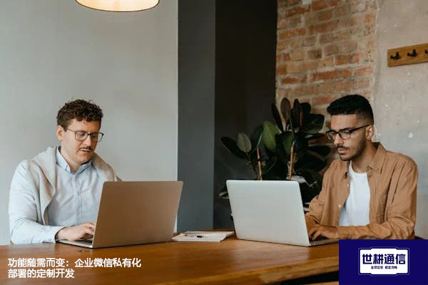 功能随需而变：企业微信私有化部署的定制开发？？？？解决方案//世耕通信  即时通讯（IM）私有化部署