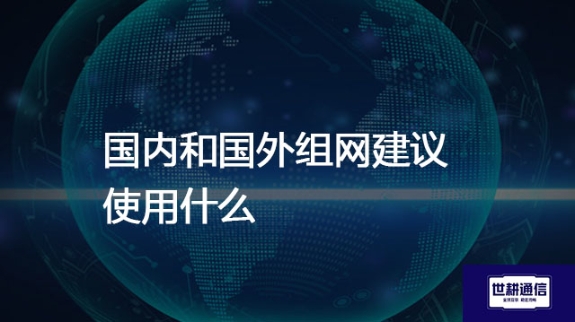 国内和国外组网建议使用什么？？？解决方案//世耕通信全球办公专网
