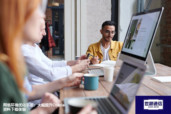 网络环境优化手册：大幅提升Oracle资料下载体验？？？解决方案//世耕通信全球办公专网