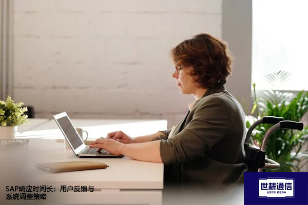 SAP响应时间长：用户反馈与系统调整策略？？？解决方案//世耕通信全球办公专网