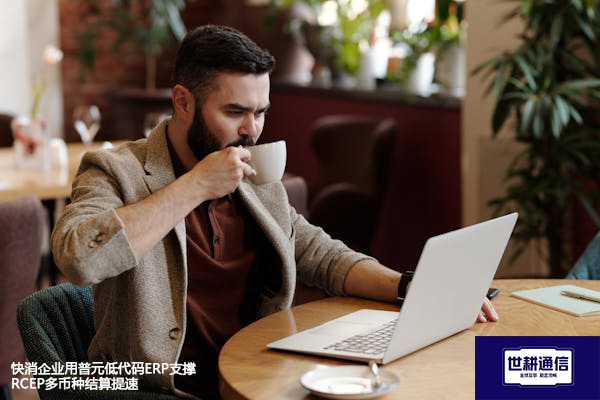 快消企业用普元低代码ERP支撑RCEP多币种结算提速？？？解决方案//世耕通信全球办公专网